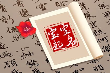 示例命局怎么用